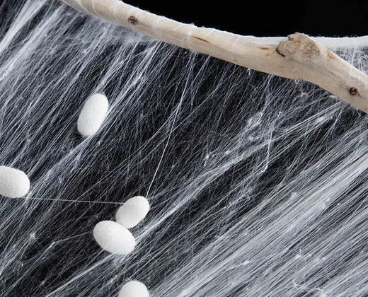 Overview of Natural Protein Fibers