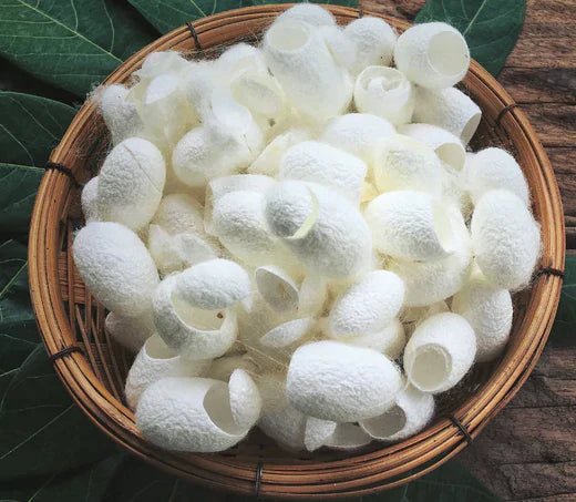 Benefits of Silk