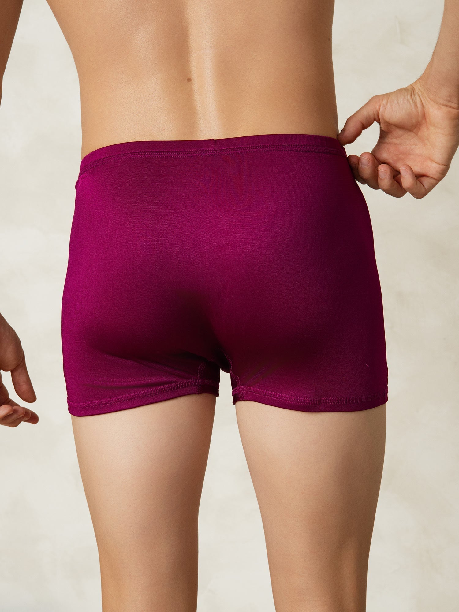 [Wine] SilkSilky-CA Silk Knitted Mens Underwear 002