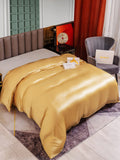 SilkSilky CA 25Momme Pure Silk Duvet Cover Champagne 004