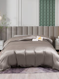 SilkSilky CA 25Momme Pure Silk Duvet Cover Gray 001