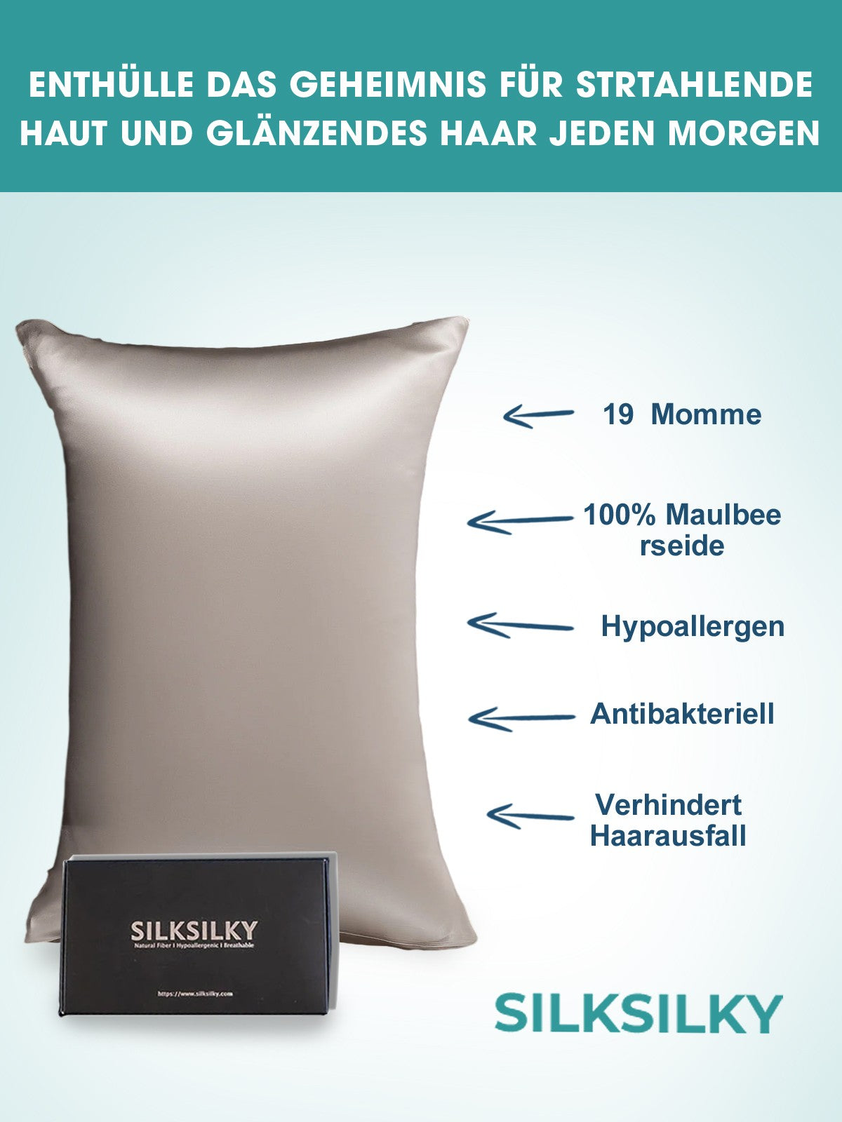 [Gray] SilkSilky-CA 19Momme Pure Silk Pillowcase 002