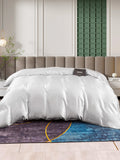 SilkSilky CA 25Momme Pure Silk Duvet Cover Silver 003