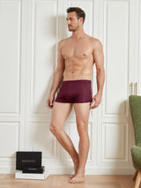 [Wine] SilkSilky-CA 100% Silk Jersey Men's Underwear 006
