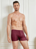 SilkSilky CA Silk Knitted Mens Underwear Wine 003