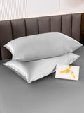 SilkSilky-CA 19Momme Pure Silk Pillowcase Silver 004