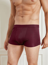 [Wine] SilkSilky-CA 100% Silk Jersey Men's Underwear 003