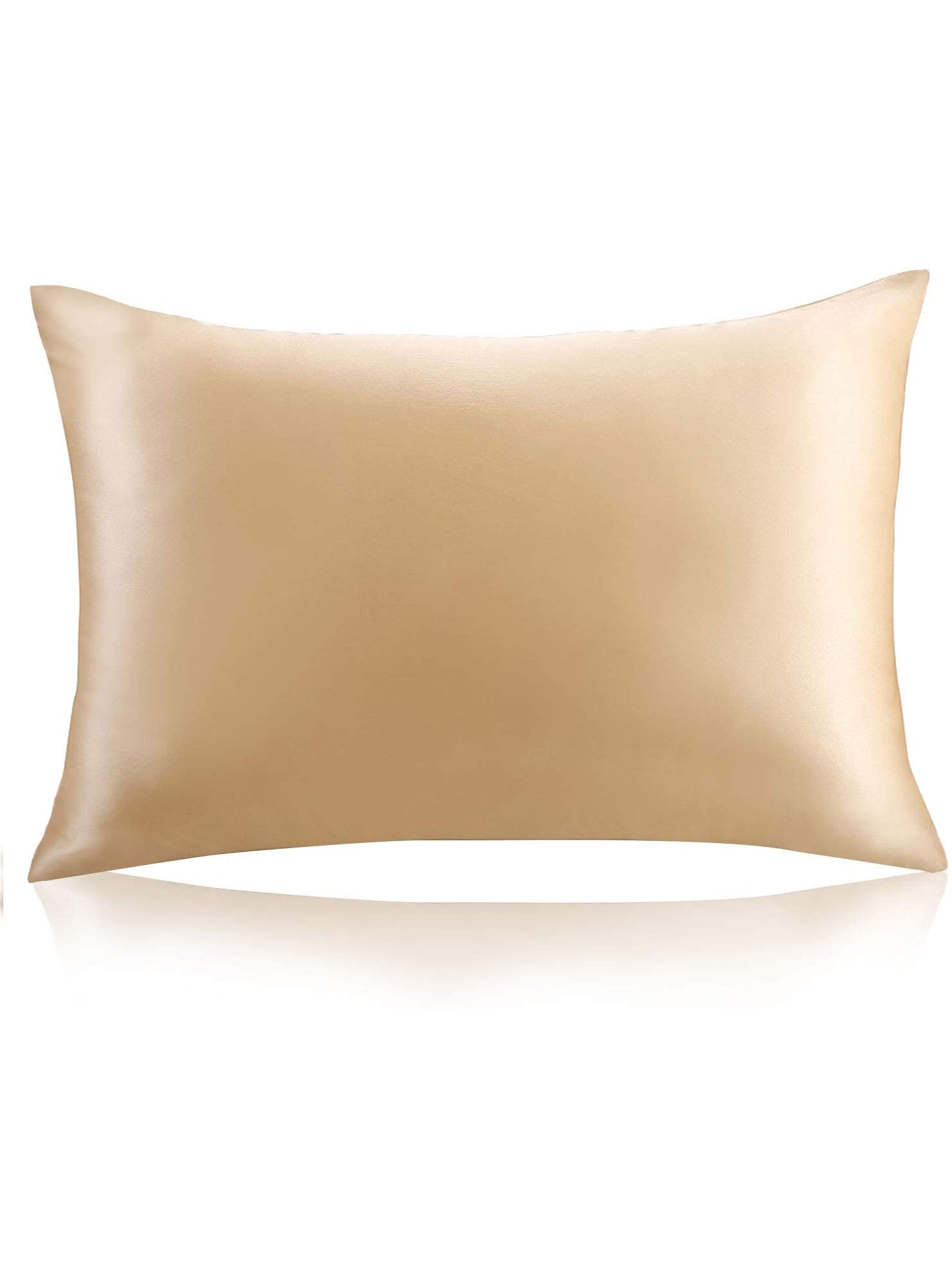 SilkSilky CA 22Momme Pure Silk Pillowcase Set Champagne 002