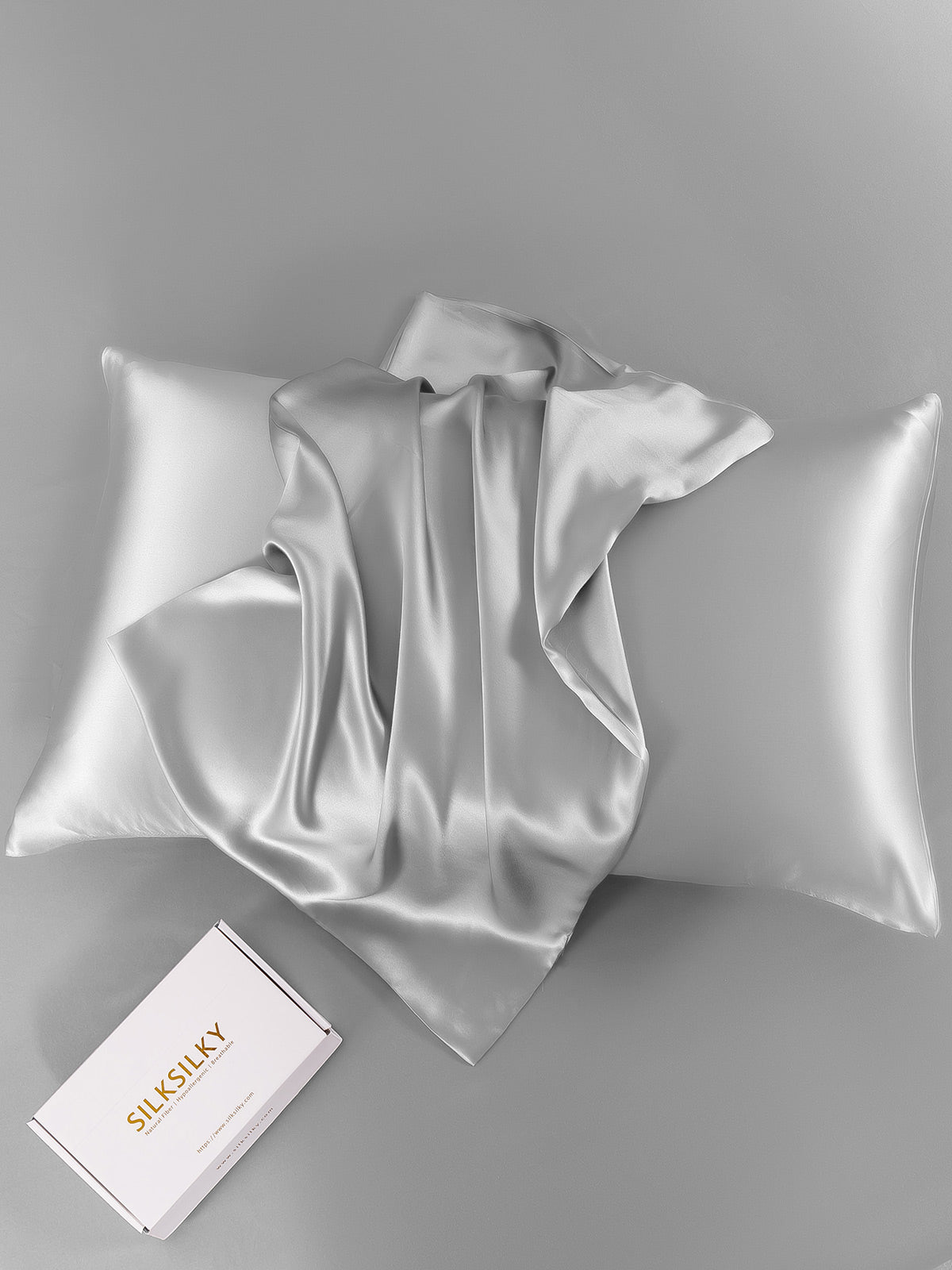 SilkSilky-CA 19Momme Pure Silk Pillowcase Silver 007