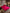 [Wine] SilkSilky-CA 19Momme Pure Silk Bedding Set 001