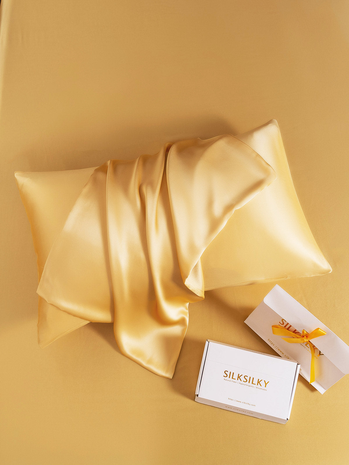 SilkSilky CA 22Momme Pure Silk Pillowcase Champagne 001