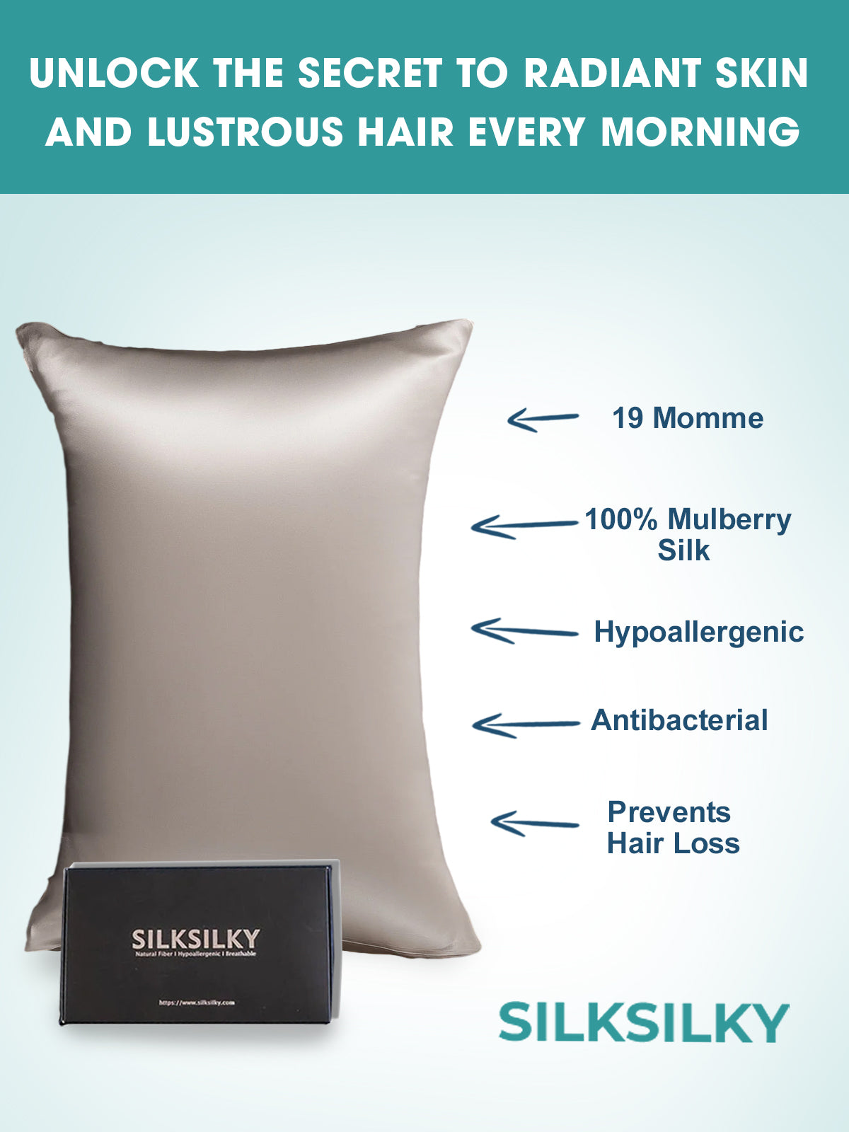 [Gray] SilkSilky-CA 19Momme Pure Silk Pillowcase 002