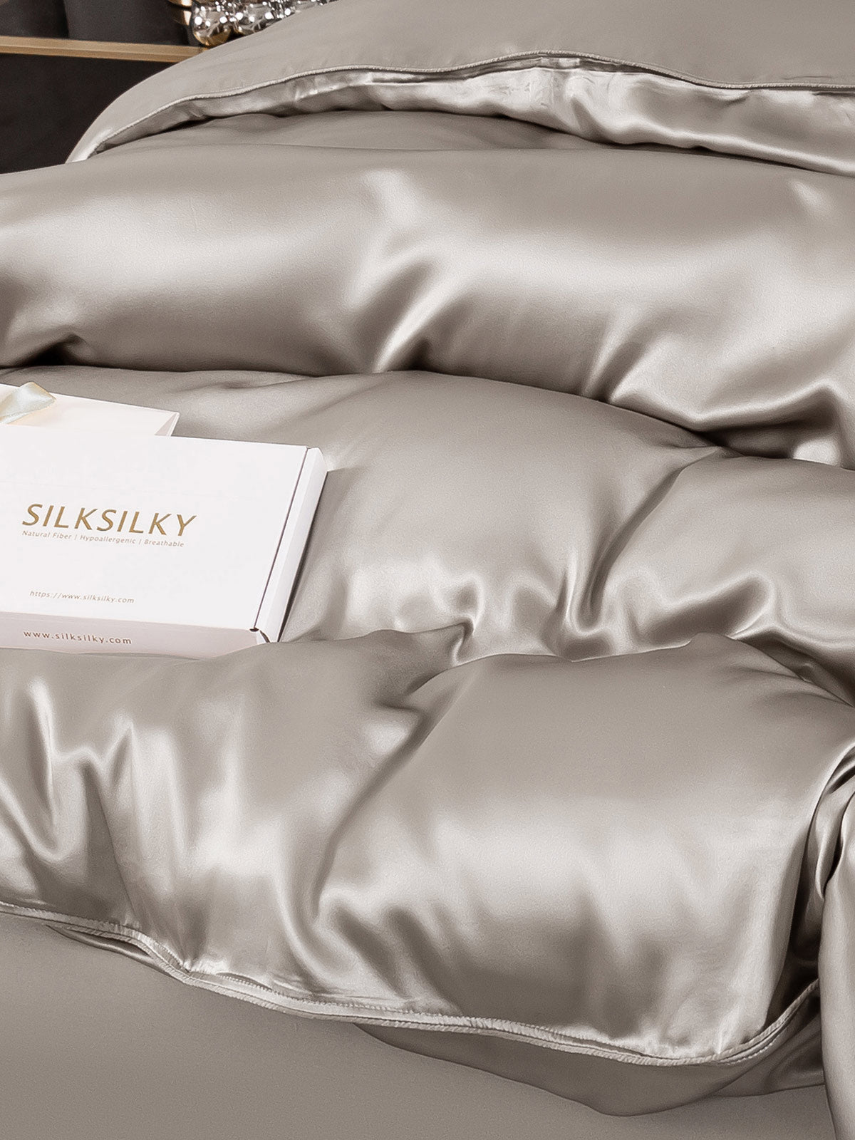 [Gray] SilkSilky-CA 22Momme Pure Silk Bedding Set 003