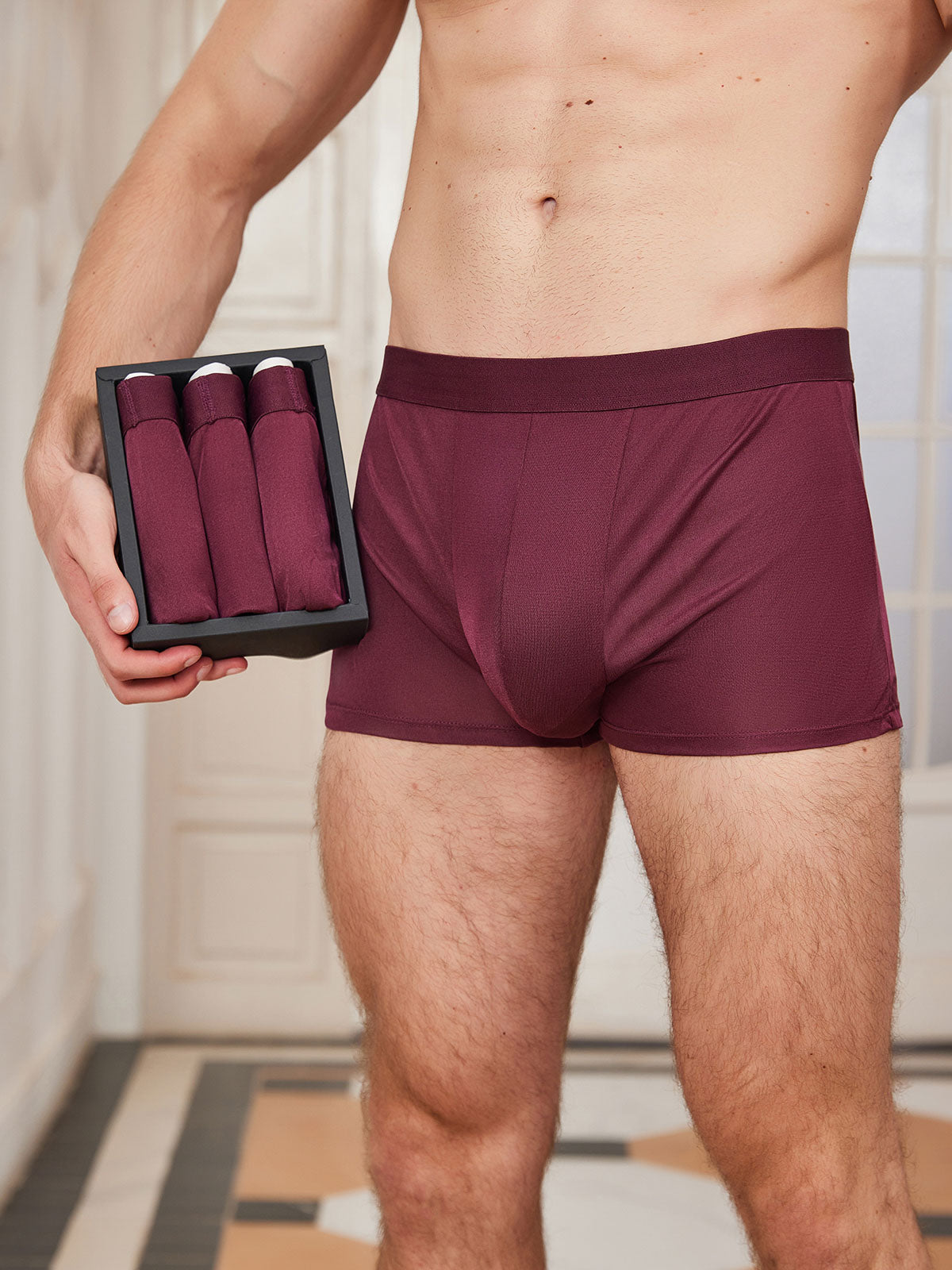 [Wine] SilkSilky-CA Silk Knitted Mens Underwear 001