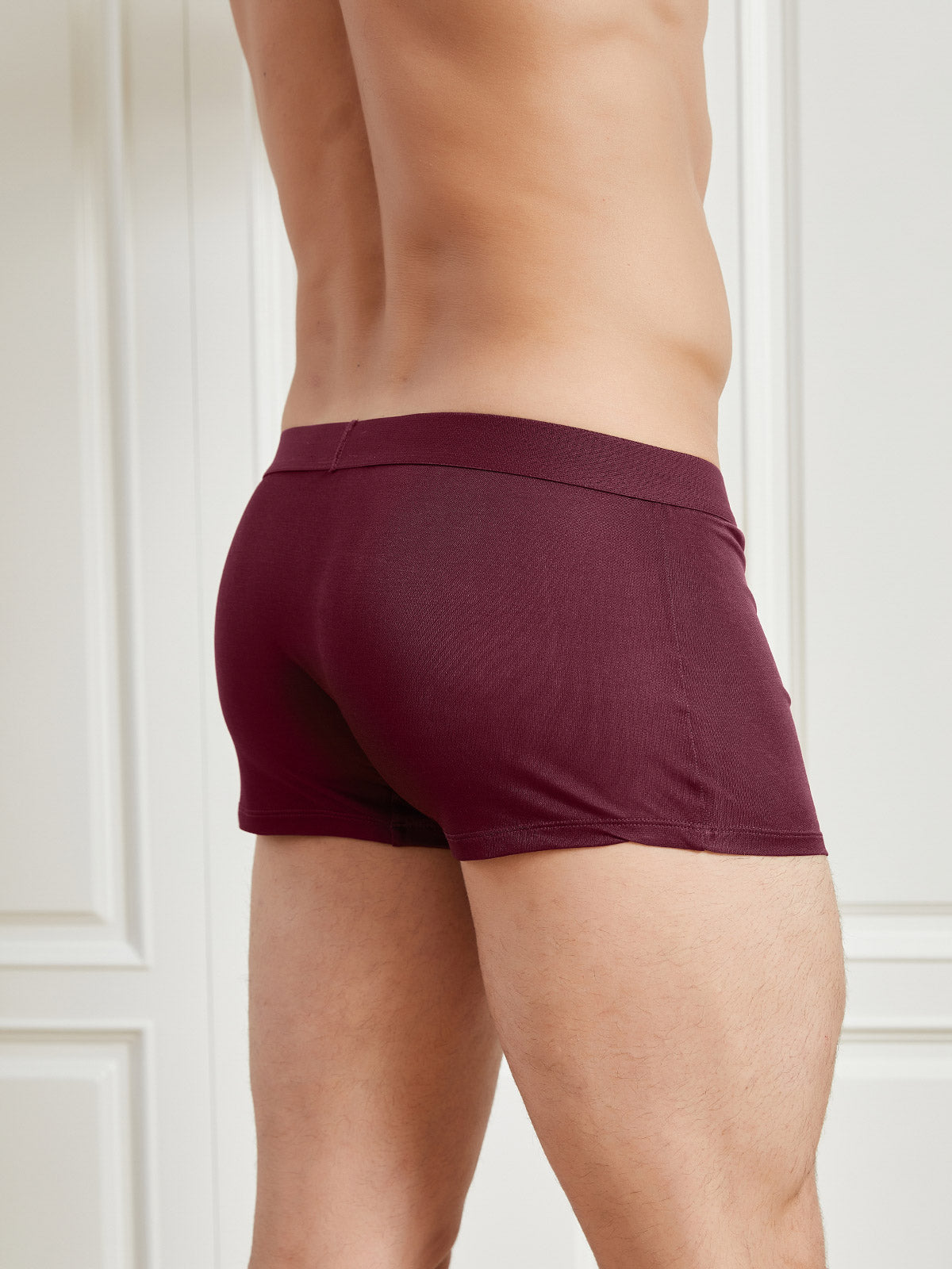 [Wine] SilkSilky-CA Silk Knitted Mens Underwear 002