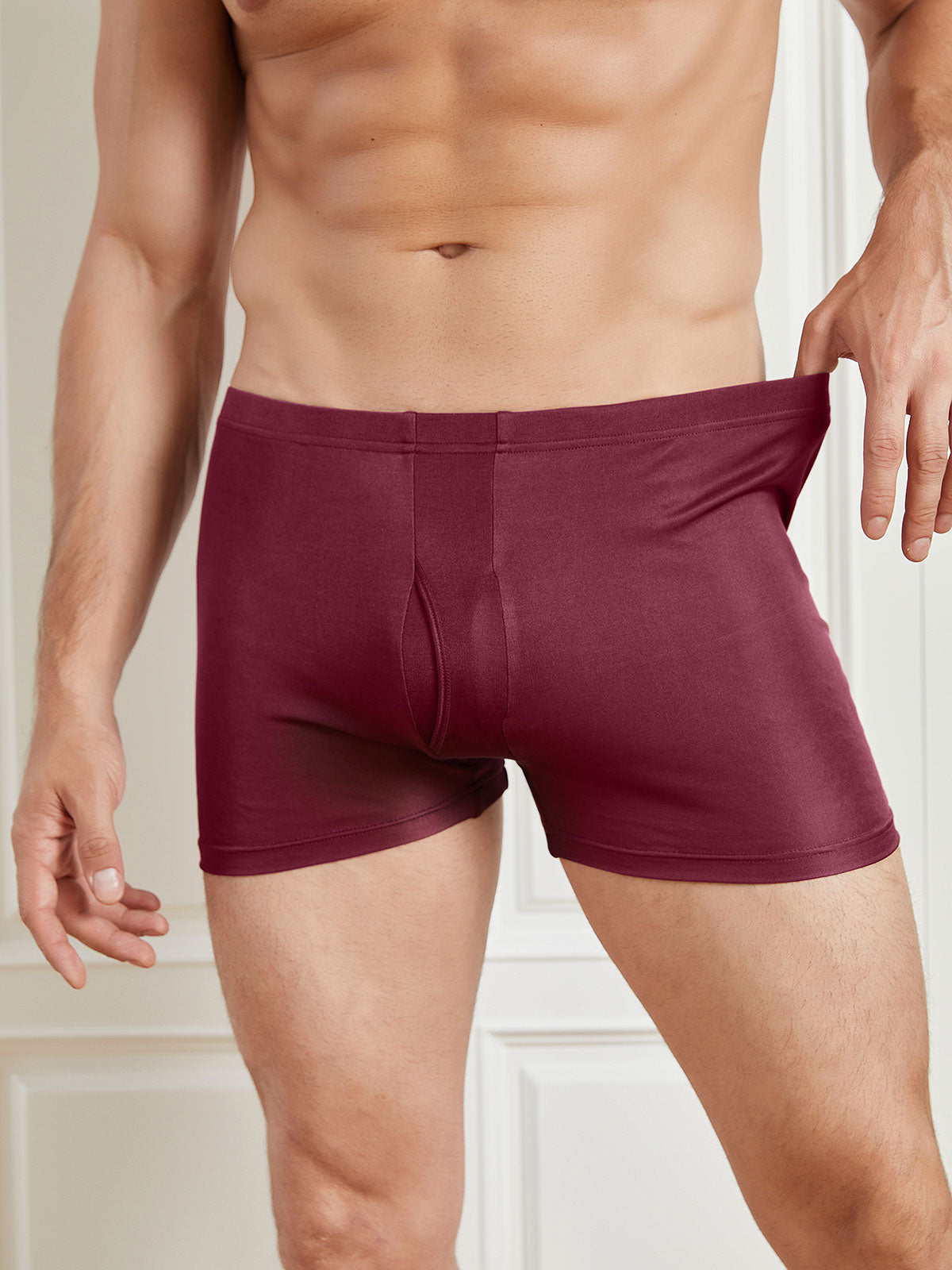 [Wine] SilkSilky-CA Silk Knitted Mens Underwear 004