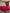 [Wine] SilkSilky-CA 19Momme Pure Silk Bedding Set 001