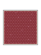 [Wine] SilkSilky-CA Scarf 001
