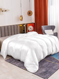 SilkSilky CA 19Momme Pure Silk Duvet Cover White 001