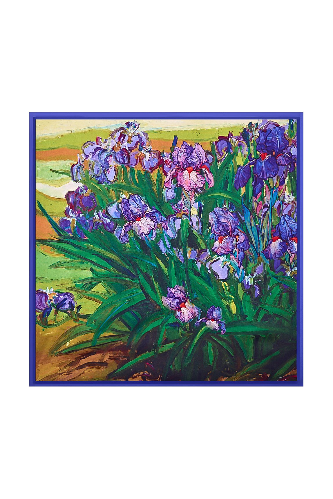 [Multi] SilkSilky-CA Pure Silk Scarf 004