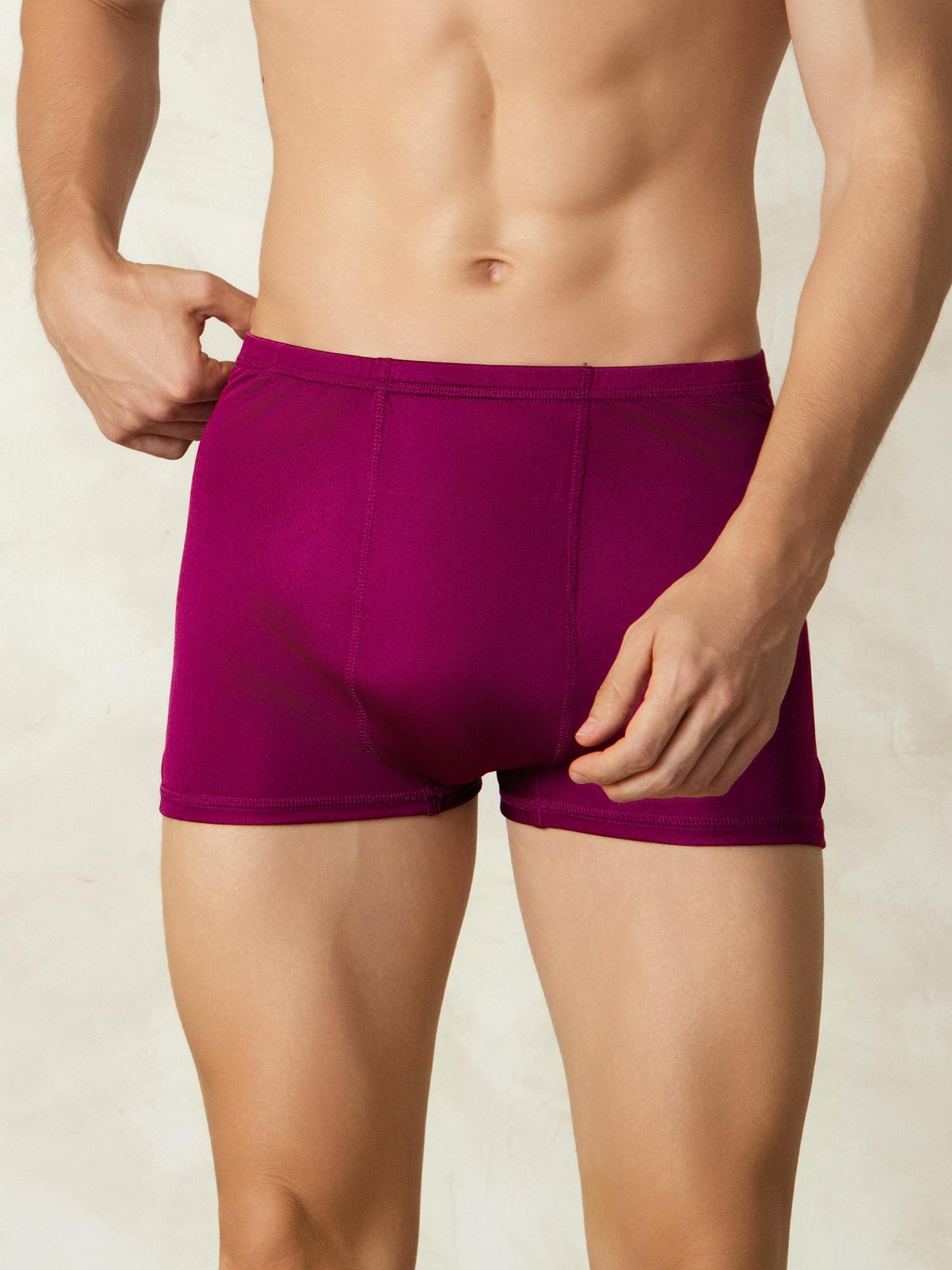 [Wine] SilkSilky-CA Silk Knitted Mens Underwear 003