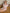 [Pink] SilkSilky-CA Pure Silk Short Sleeve Lapel Women's Pajamas 001