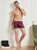 SilkSilky CA Silk Knitted Mens Underwear Wine 003