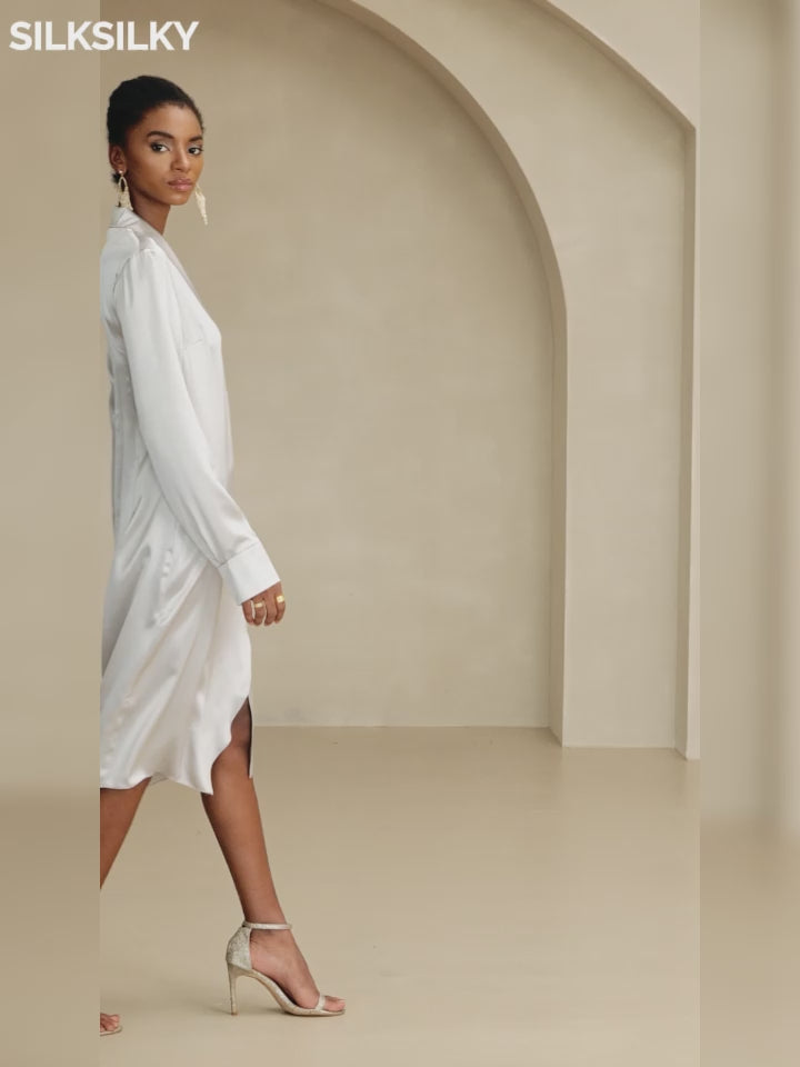 SilkSilky-CA-19Momme-Silk-Long-Sleeve-V-Neck-Dress-video-001