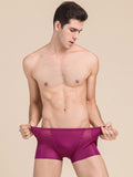 SilkSilky CA Silk Knitted Mens Underwear Wine 003